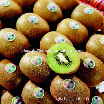 Grapes / Kiwi fruit / Mango/ Fresh fruit Import and Export Agency in Shanghai